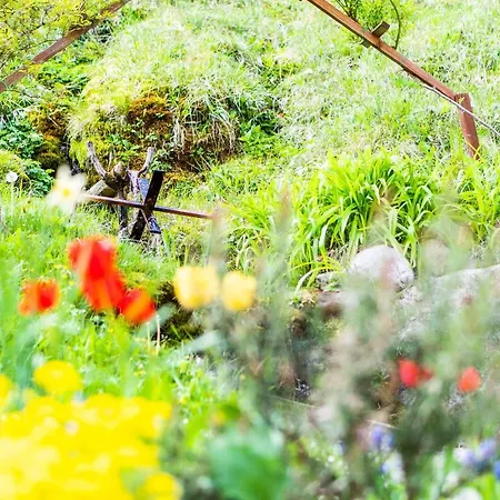 Zelena Dolina Appartement Cerkno