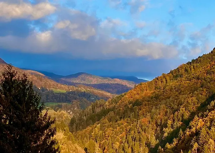 Zelena Dolina Appartement Cerkno